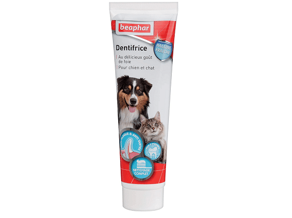 dog toothpaste