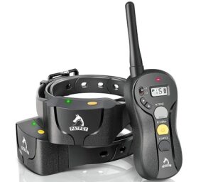 Dog Training Collar in 2022 - The Complete Guide!