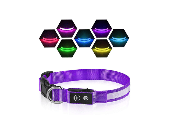 LED safety collar for dogs