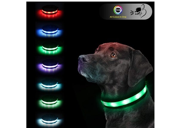Lighted dog collar