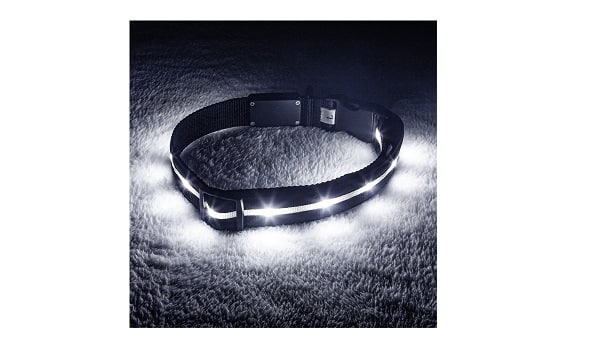 Rechargeable LED dog collar